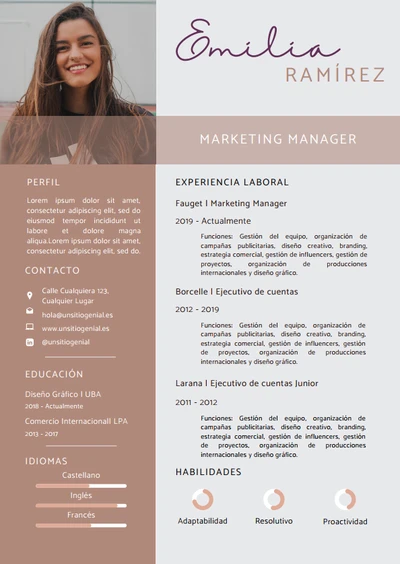 CV modelo 2